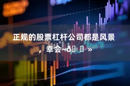 正规的股票杠杆公司都是风景 ，幸会~🌻