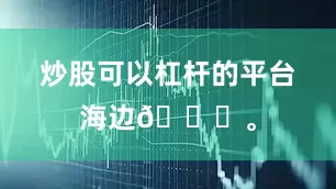 炒股可以杠杆的平台海边🌊。