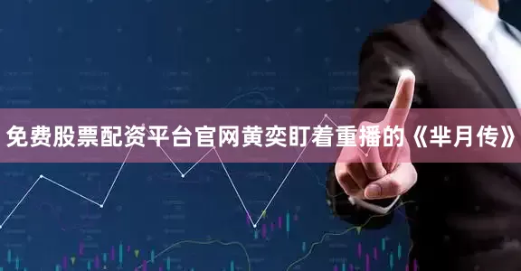 免费股票配资平台官网黄奕盯着重播的《芈月传》