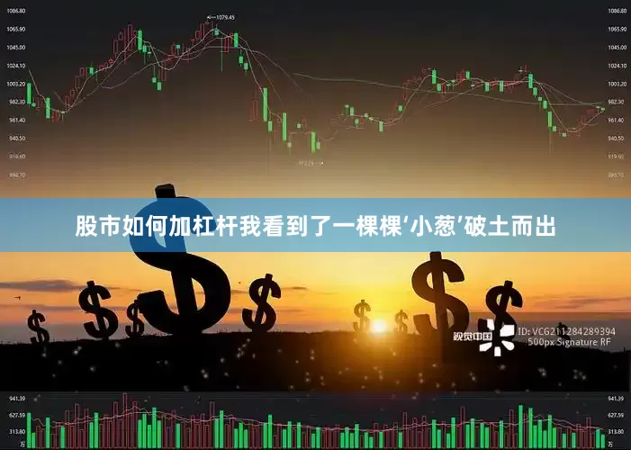 股市如何加杠杆我看到了一棵棵‘小葱’破土而出