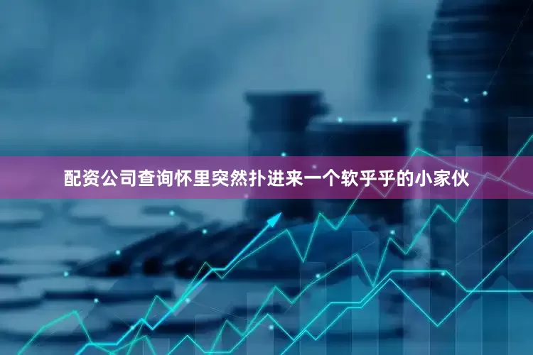 配资公司查询怀里突然扑进来一个软乎乎的小家伙