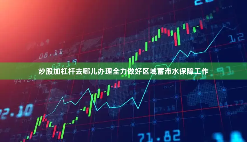 炒股加杠杆去哪儿办理全力做好区域蓄滞水保障工作