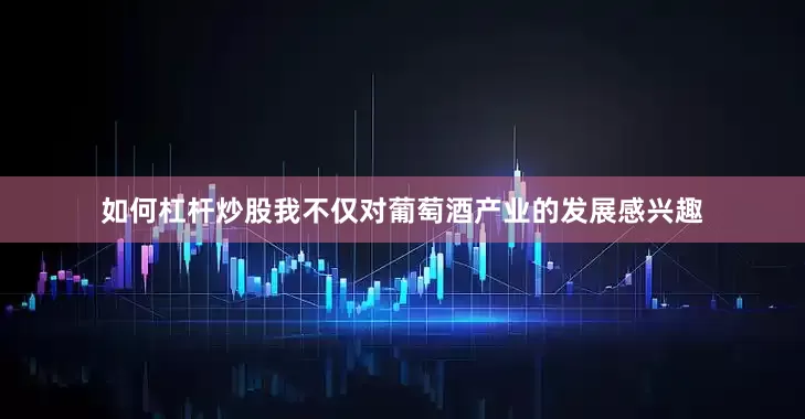如何杠杆炒股我不仅对葡萄酒产业的发展感兴趣