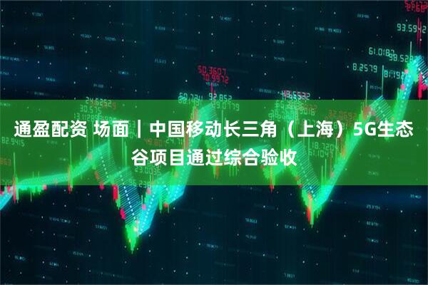 通盈配资 场面｜中国移动长三角（上海）5G生态谷项目通过综合验收