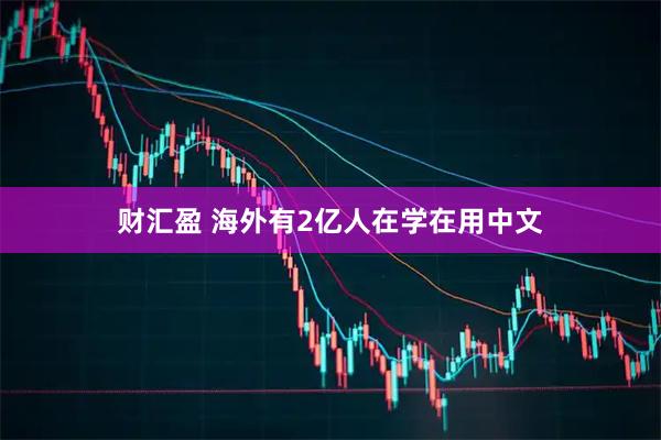 财汇盈 海外有2亿人在学在用中文